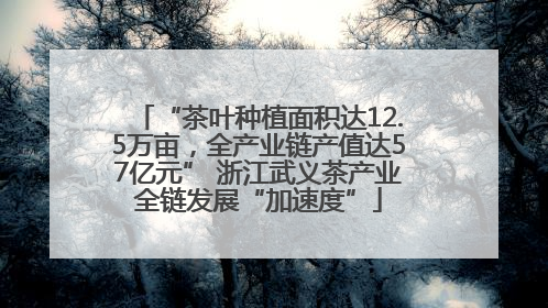 “茶叶种植面积达12.5万亩，全产业链产值达57亿元” 浙江武义茶产业全链发展“加速度”