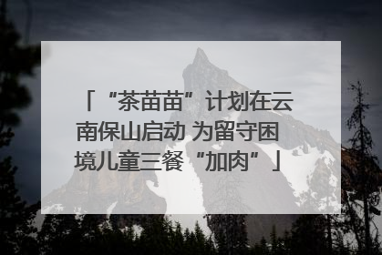 “茶苗苗”计划在云南保山启动 为留守困境儿童三餐“加肉”