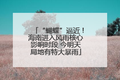“蝴蝶”逼近！海南进入风雨核心影响时段 今明天局地有特大暴雨