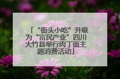 “街头小吃”升级为“富民产业”四川大竹县举行肉丁面主题消费活动