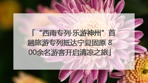 “西南专列·乐游神州”首趟旅游专列抵达宁夏固原 800余名游客开启清凉之旅