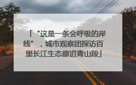 “这是一条会呼吸的岸线”，城市观察团探访百里长江生态廊道青山段