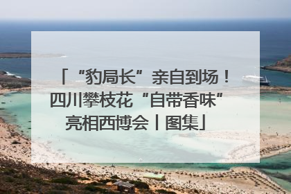 “豹局长”亲自到场！四川攀枝花“自带香味”亮相西博会丨图集