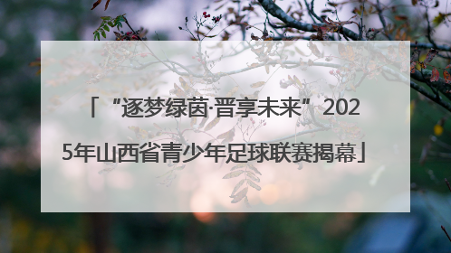 “逐梦绿茵·晋享未来”2025年山西省青少年足球联赛揭幕