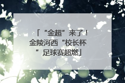 “金超”来了！金陵河西“校长杯”足球赛超燃