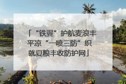 “铁翼”护航麦浪丰 平凉“一喷三防”织就夏粮丰收防护网