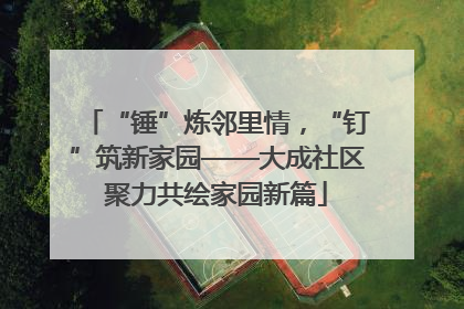 “锤”炼邻里情，“钉”筑新家园——大成社区聚力共绘家园新篇