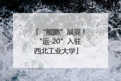 “鲲鹏”展翼！“运-20”入驻西北工业大学