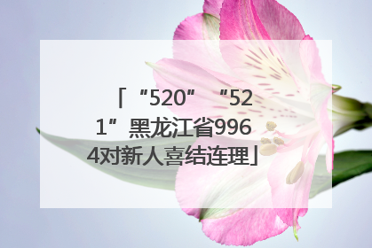 “520”“521”黑龙江省9964对新人喜结连理