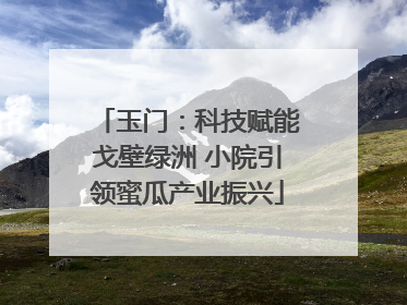 玉门：科技赋能戈壁绿洲 小院引领蜜瓜产业振兴