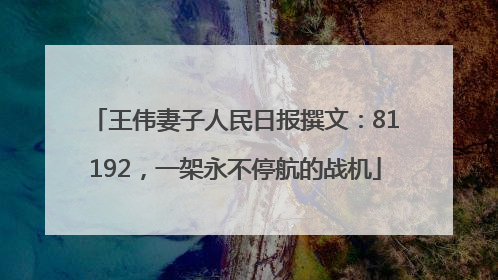 王伟妻子人民日报撰文：81192，一架永不停航的战机