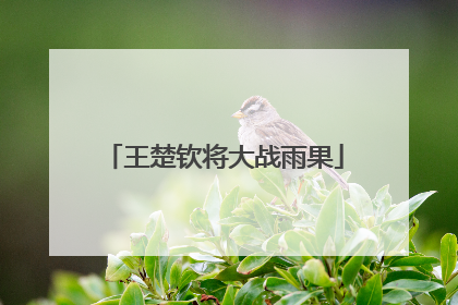 王楚钦将大战雨果