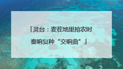 灵台：麦茬地里抢农时 奏响复种“交响曲”