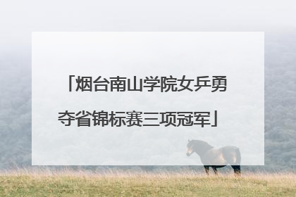 烟台南山学院女乒勇夺省锦标赛三项冠军