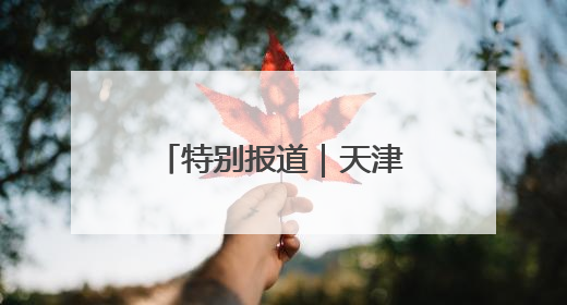 特别报道｜天津经开区：以“高智绿”转型破解产业升级压力