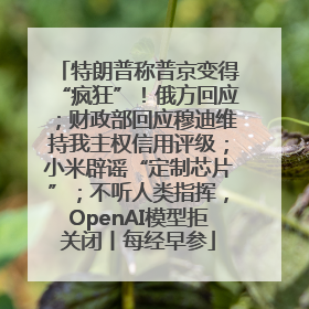 特朗普称普京变得“疯狂”！俄方回应；财政部回应穆迪维持我主权信用评级；小米辟谣“定制芯片”；不听人类指挥，OpenAI模型拒关闭丨每经早参