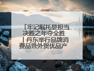 牢记嘱托显担当 决胜之年夺全胜丨丹东举行品牌消费品暨外贸优品产销对接大会