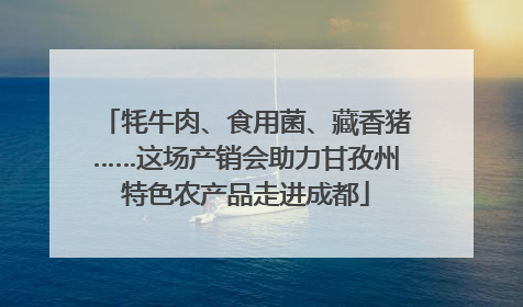 牦牛肉、食用菌、藏香猪……这场产销会助力甘孜州特色农产品走进成都