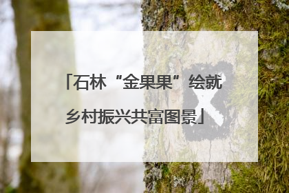 石林“金果果”绘就乡村振兴共富图景