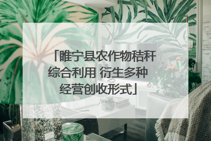 睢宁县农作物秸秆综合利用 衍生多种经营创收形式