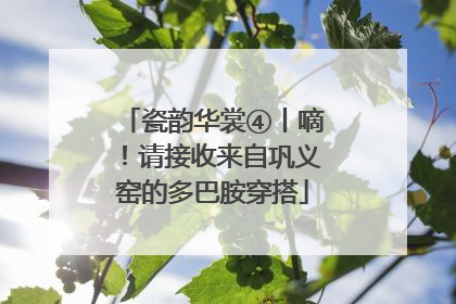 瓷韵华裳④丨嘀！请接收来自巩义窑的多巴胺穿搭