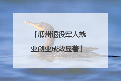 瓜州退役军人就业创业成效显著