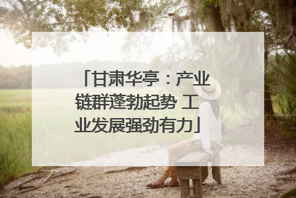 甘肃华亭：产业链群蓬勃起势 工业发展强劲有力