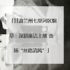 甘肃兰州七里河区烟草：深耕廉洁土壤 劲扬“丝路清风”