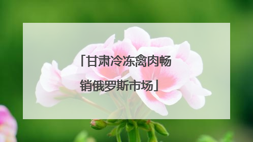 甘肃冷冻禽肉畅销俄罗斯市场