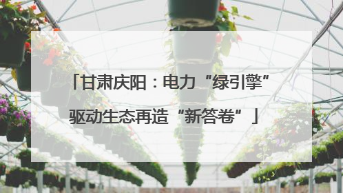甘肃庆阳：电力“绿引擎” 驱动生态再造“新答卷”