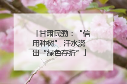 甘肃民勤：“信用种树” 汗水浇出“绿色存折”