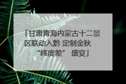 甘肃青海内蒙古十二景区联动入黔 定制金秋 “纬度差” 盛宴