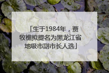 生于1984年，贾牧樵拟提名为黑龙江省地级市副市长人选