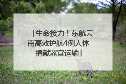 生命接力！东航云南高效护航4例人体捐献器官运输