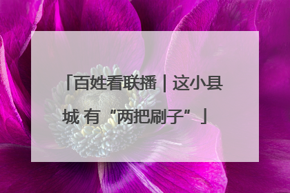 百姓看联播｜这小县城 有“两把刷子”