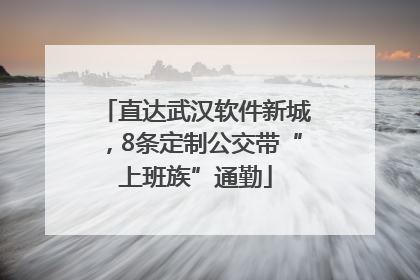 直达武汉软件新城，8条定制公交带“上班族”通勤