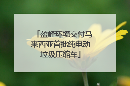 盈峰环境交付马来西亚首批纯电动垃圾压缩车