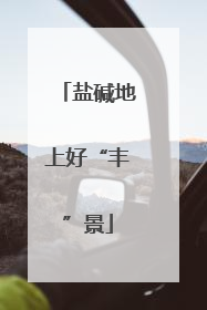 盐碱地上好“丰”景