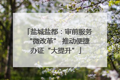 盐城盐都：审前服务“微改革” 推动便捷办证“大提升”