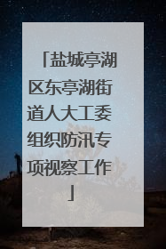 盐城亭湖区东亭湖街道人大工委组织防汛专项视察工作