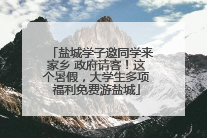 盐城学子邀同学来家乡 政府请客！这个暑假，大学生多项福利免费游盐城