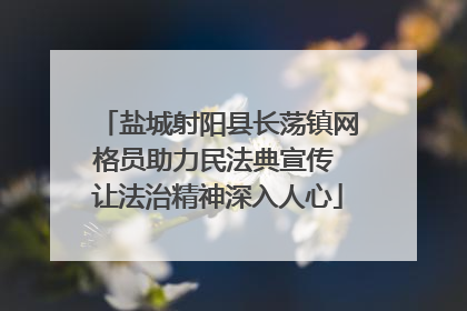 盐城射阳县长荡镇网格员助力民法典宣传 让法治精神深入人心