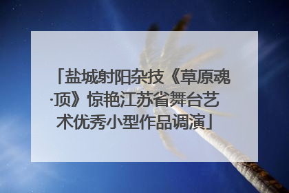 盐城射阳杂技《草原魂·顶》惊艳江苏省舞台艺术优秀小型作品调演