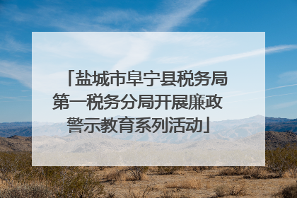 盐城市阜宁县税务局第一税务分局开展廉政警示教育系列活动