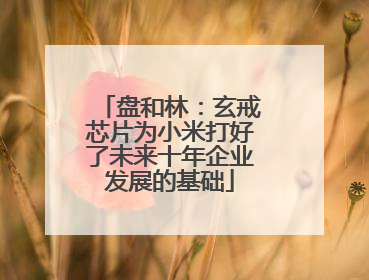 盘和林：玄戒芯片为小米打好了未来十年企业发展的基础
