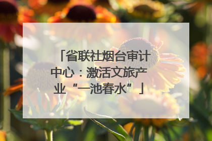 省联社烟台审计中心：激活文旅产业“一池春水”