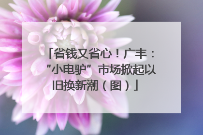 省钱又省心！广丰：“小电驴”市场掀起以旧换新潮（图）