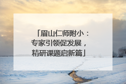 眉山仁师附小：专家引领促发展，精研课题启新篇