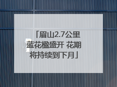 眉山2.7公里蓝花楹盛开 花期将持续到下月