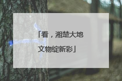 看，湘楚大地文物绽新彩